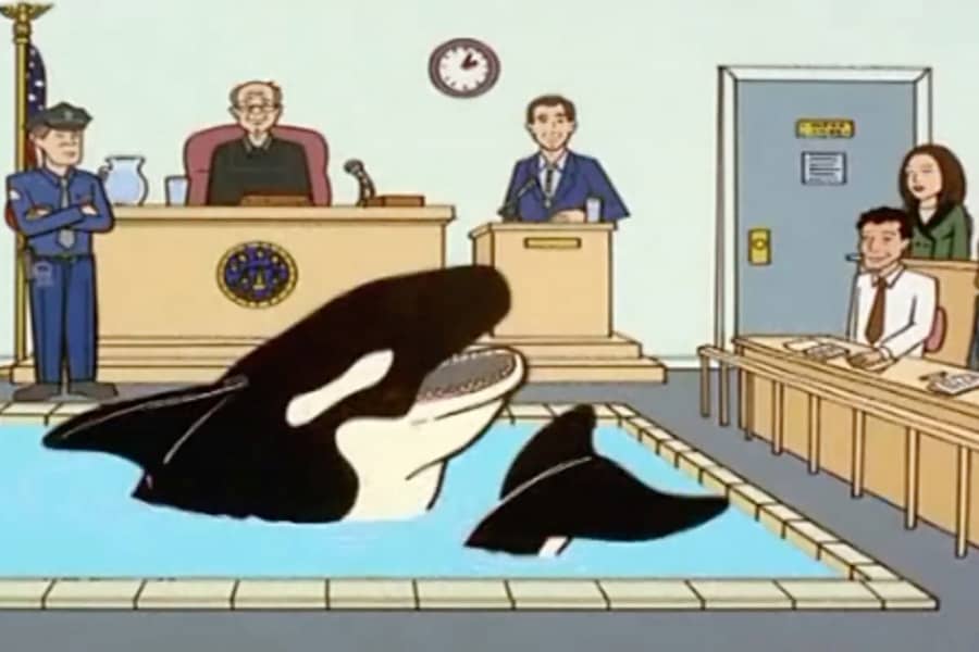 a killer whale testifies in court