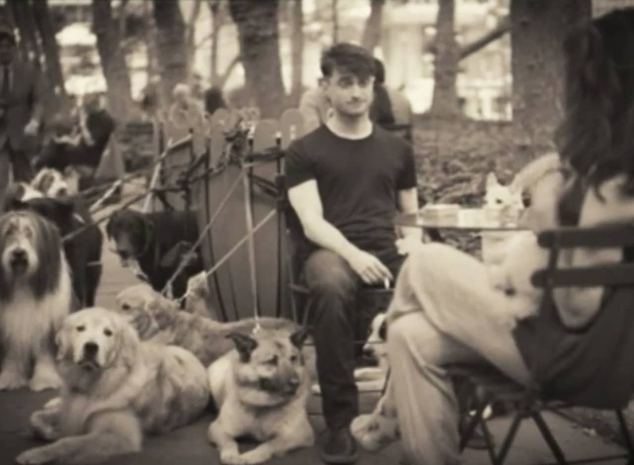 Daniel Radcliffe sits at a cafe table in the park with several dogs leashed nearby