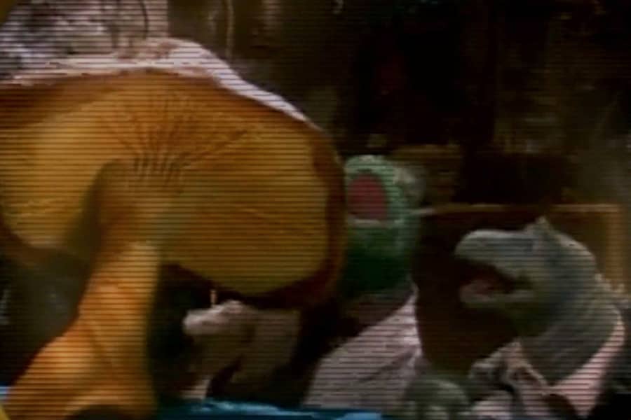 Dr. Fiend and Igor with a giant mushroom