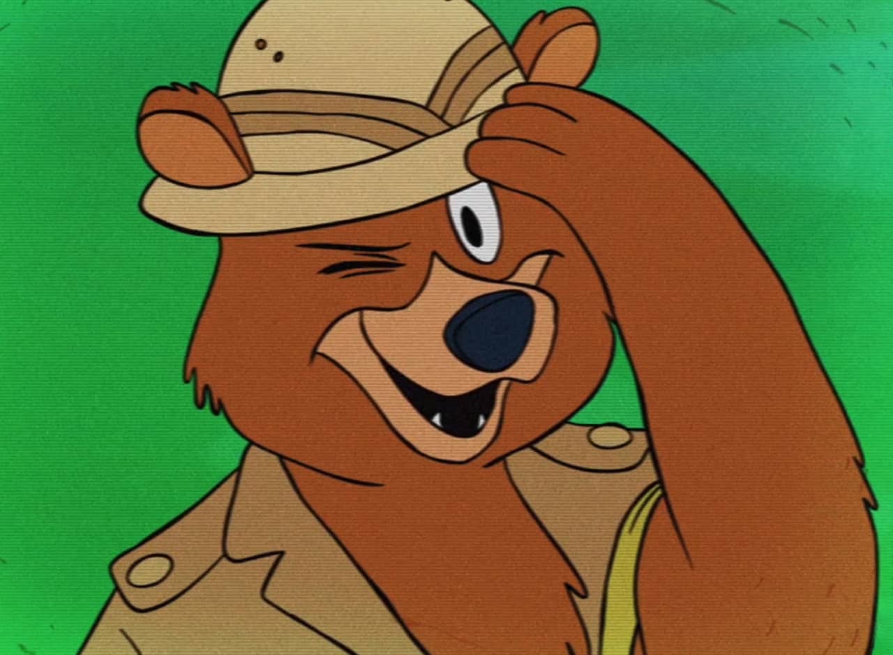 cartoon bear wearing a safari hat