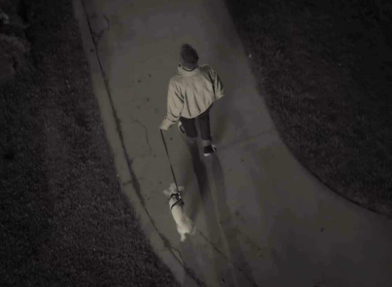 aerial shot of Kirk leading a small pig on a leash