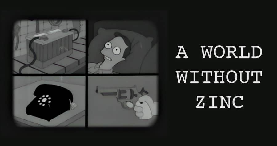 A World Without Zinc