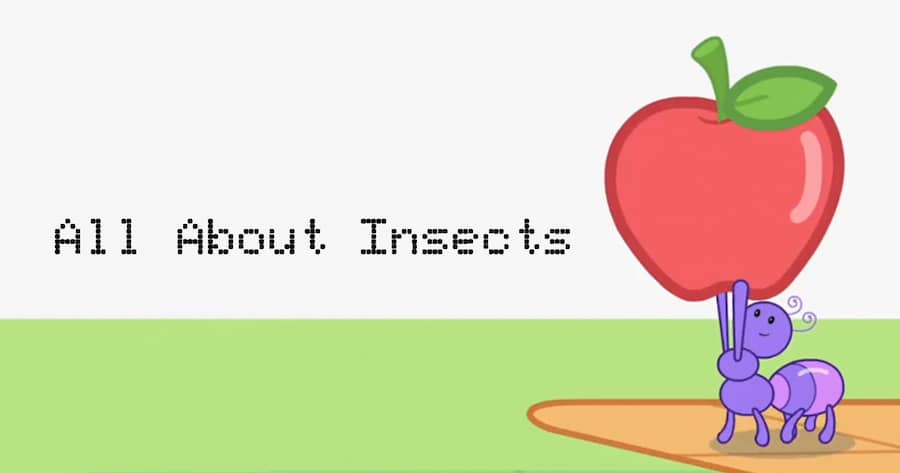 All About Insects
