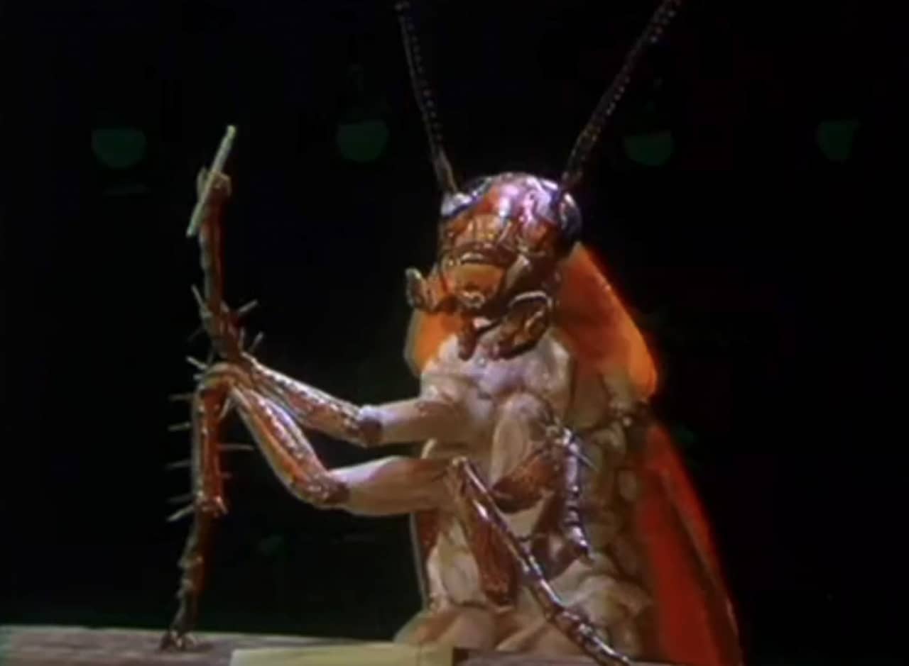 Charlie Roach, a cockroach at a small table