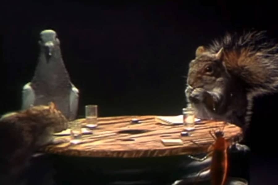 round table with Charlie Roach, a pigeon, a mouse, and a squirrel