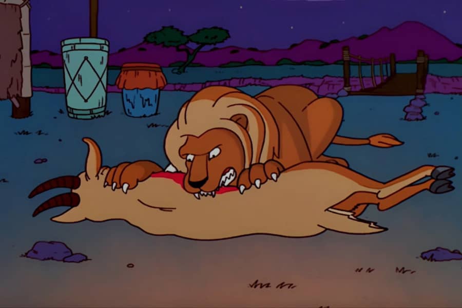 a lion eating a gazelle