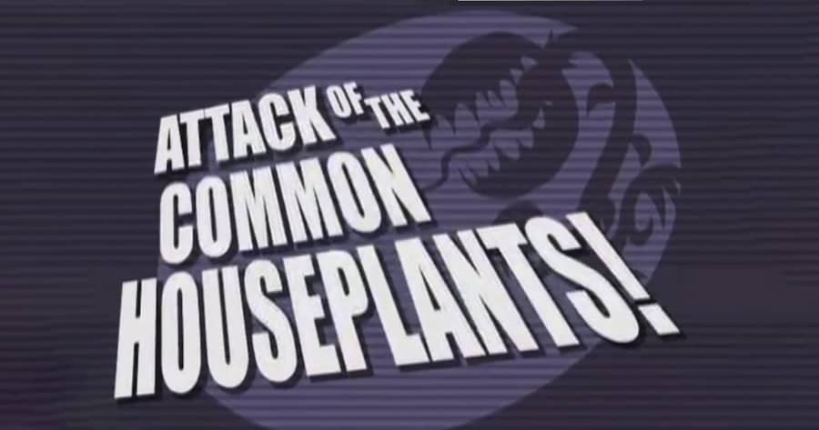 Attack of the Common Houseplants!