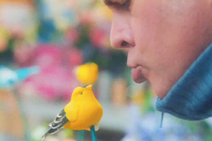 Mr. Mike making a kissy face at a fake bird