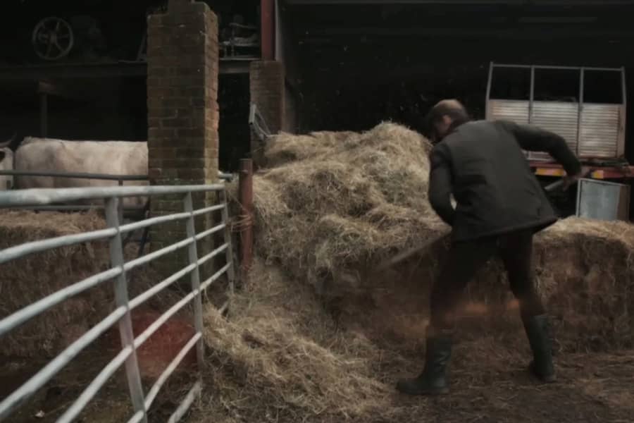 Detective shoveling hay