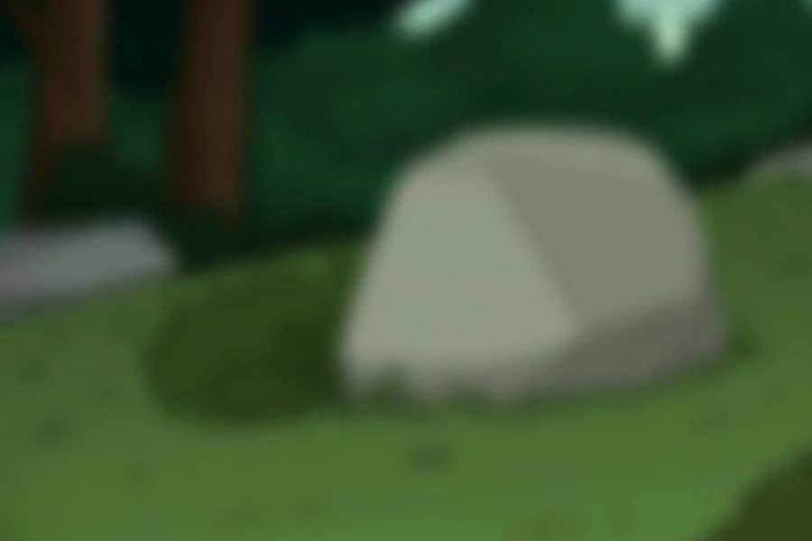 out of focus rock where Bigfoot might be hiding