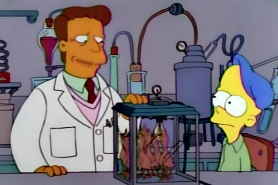 Troy and a young boy in a lab looking at an incubator full of baby birds