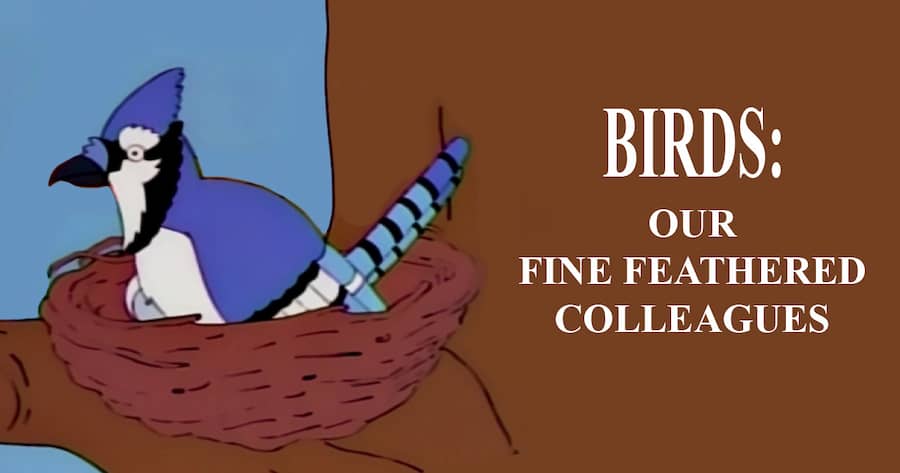 Birds: Our Fine Feathered Colleagues