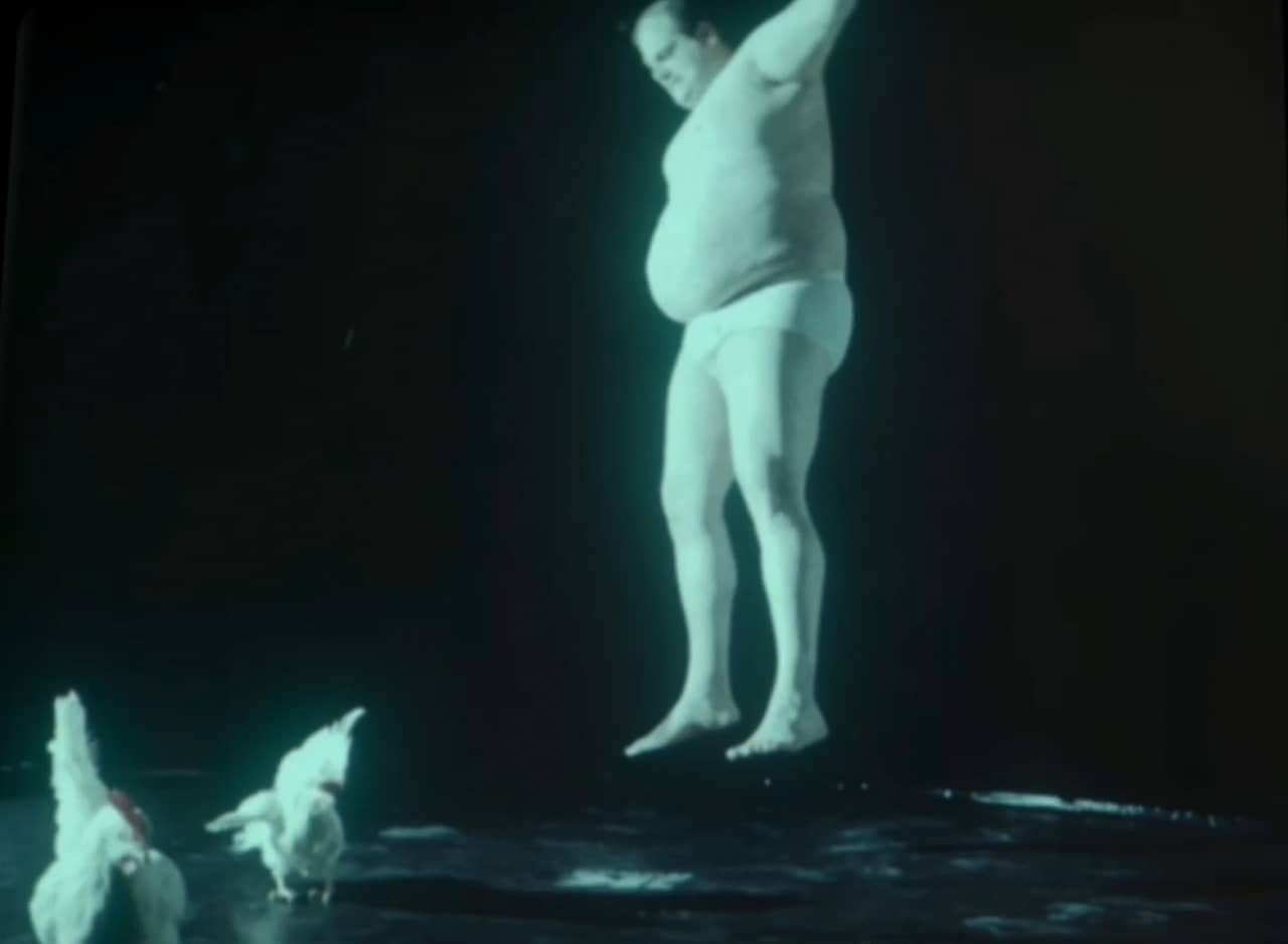 fat man in his underwear bouncing on a trampoline with some chickens