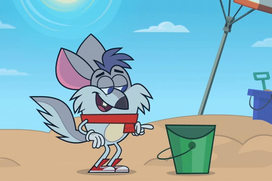 Chinchilli looking at a bucket on the beach