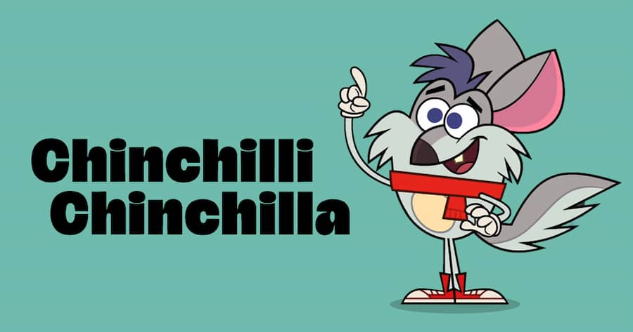 Chinchilli Chinchilla