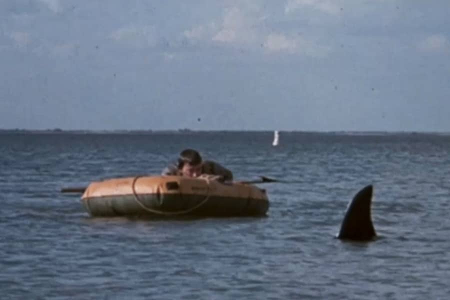 the pilot on an emergency raft in the ocean next to a shark fin