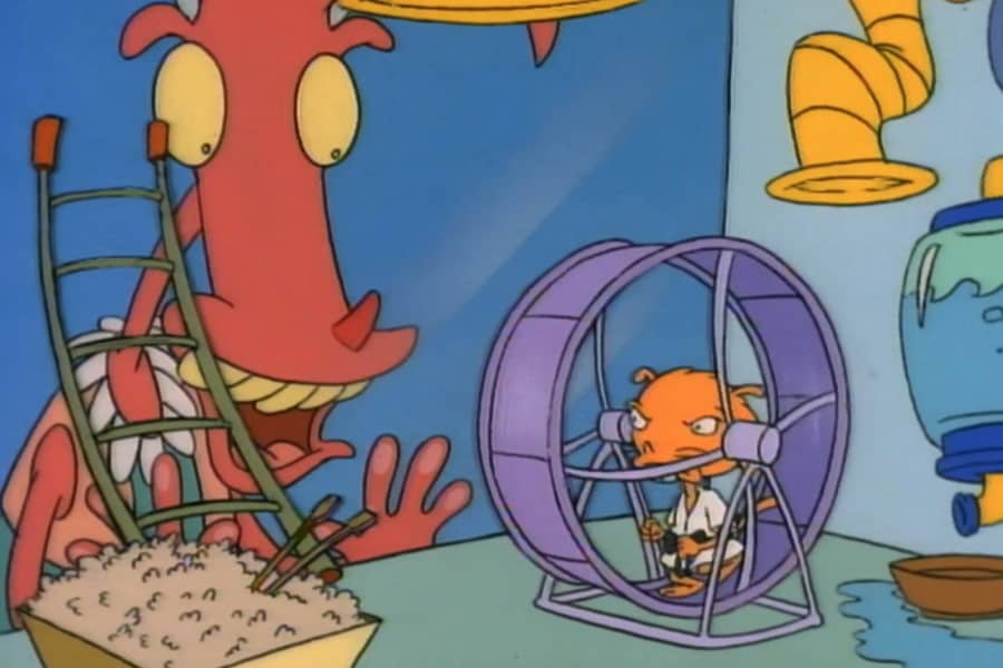 someone watches in delight as Lang-Chao runs on a hamster wheel