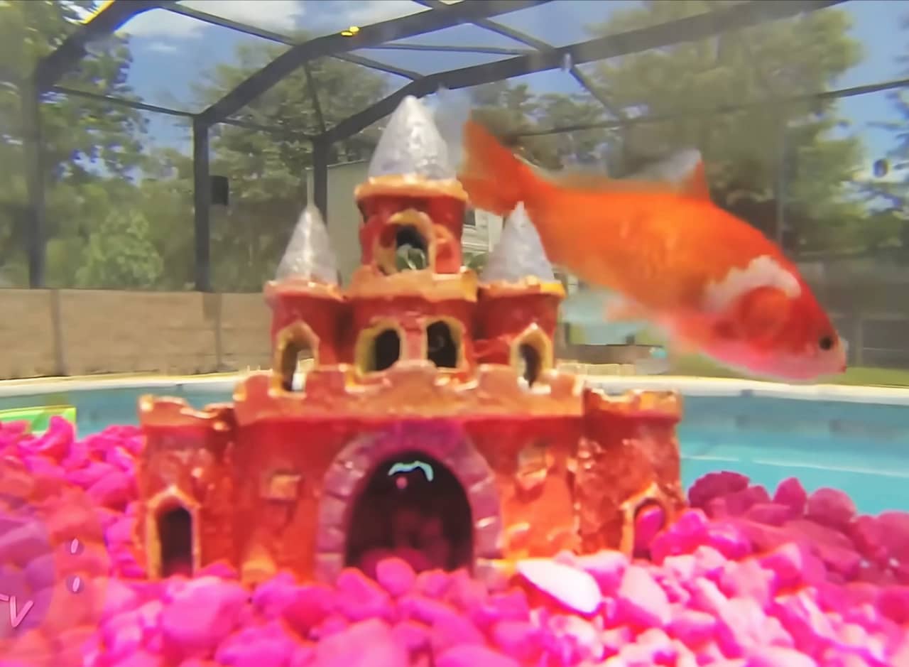 close-up of a fish bowl with a little castle and a goldfish