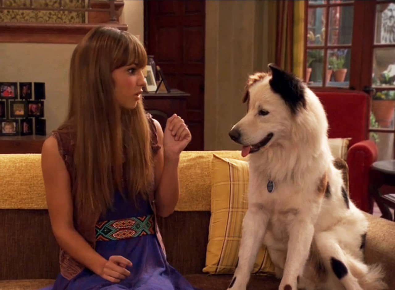 teen girl with a dog on the couch