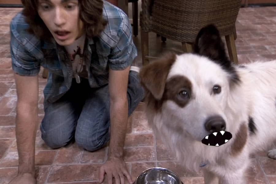 boy panting like a dog and the dog is talking with a fake mouth