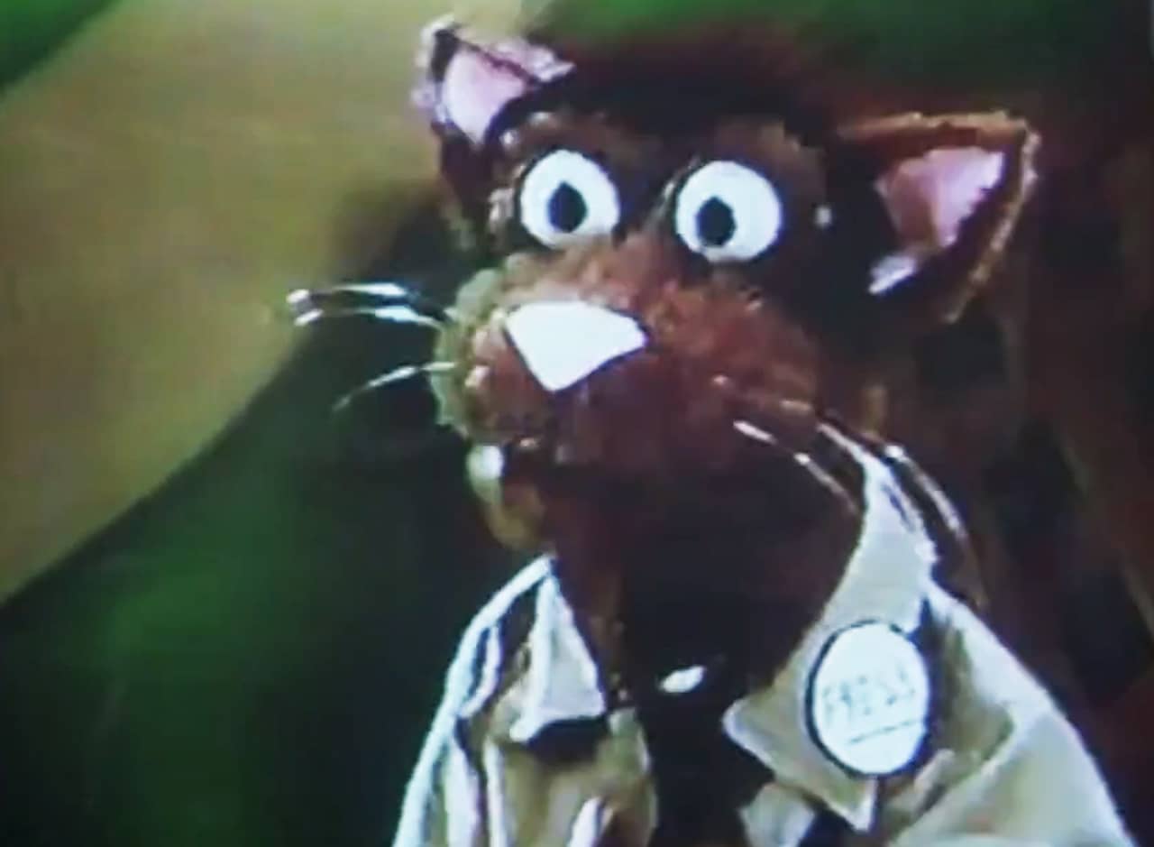 Edward R. Meow, a cat puppet