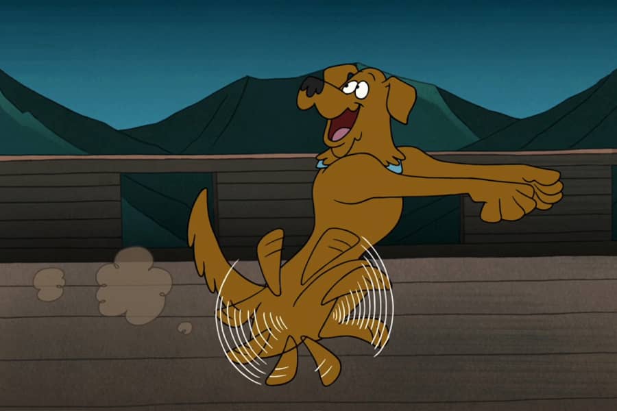 Funky Wunky running