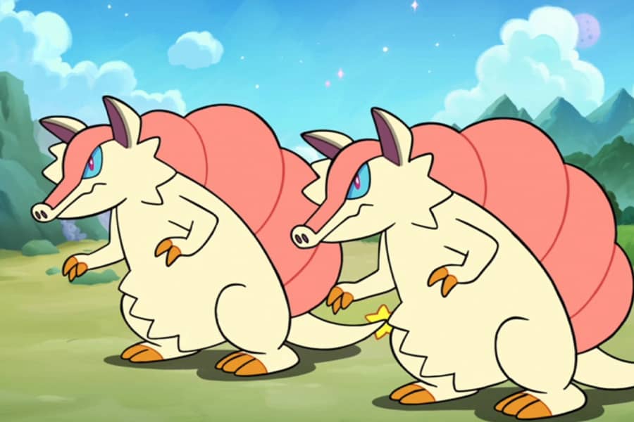 two Starmadillos