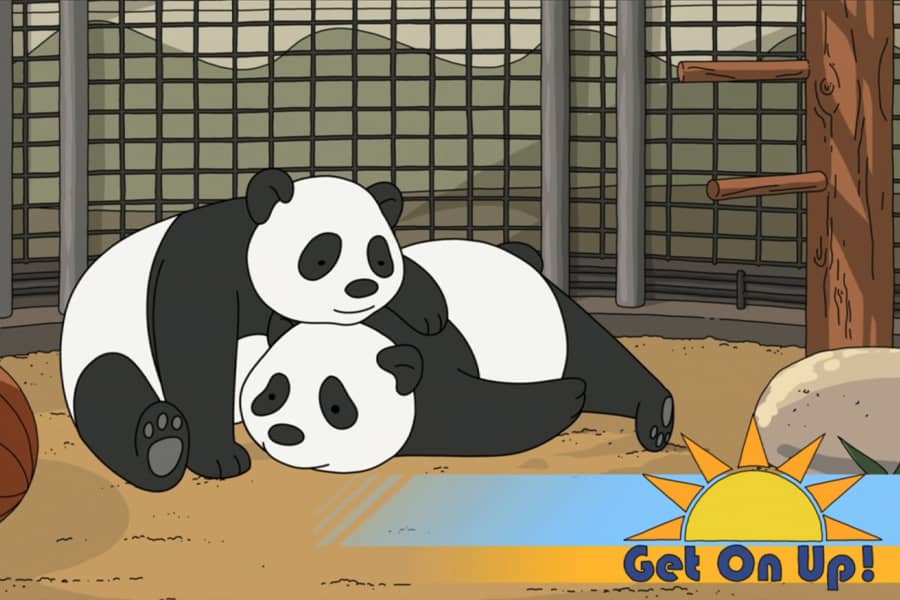 two cute pandas