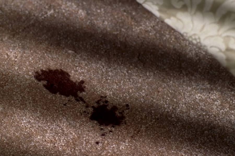 a blood spot on the carpet