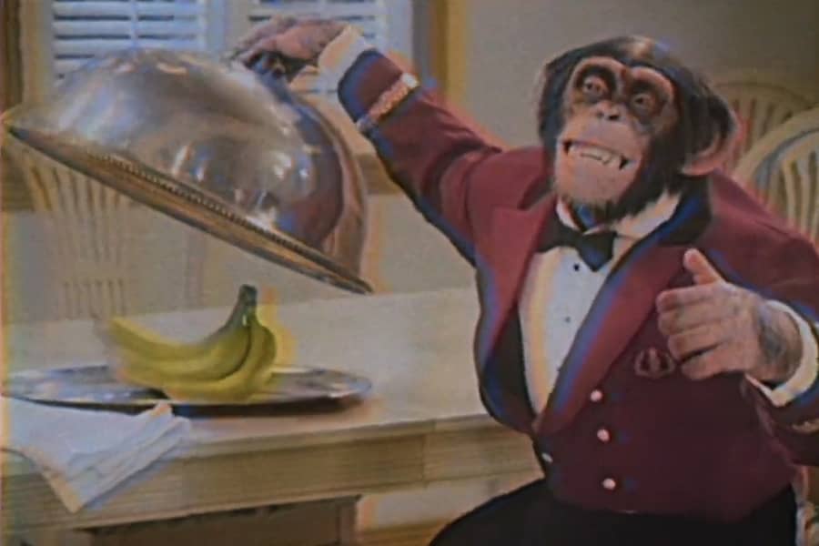 Gordy the chimp in a bellboy’s uniform lifting a cloche to reveal a banana underneath and giving a thumbs up