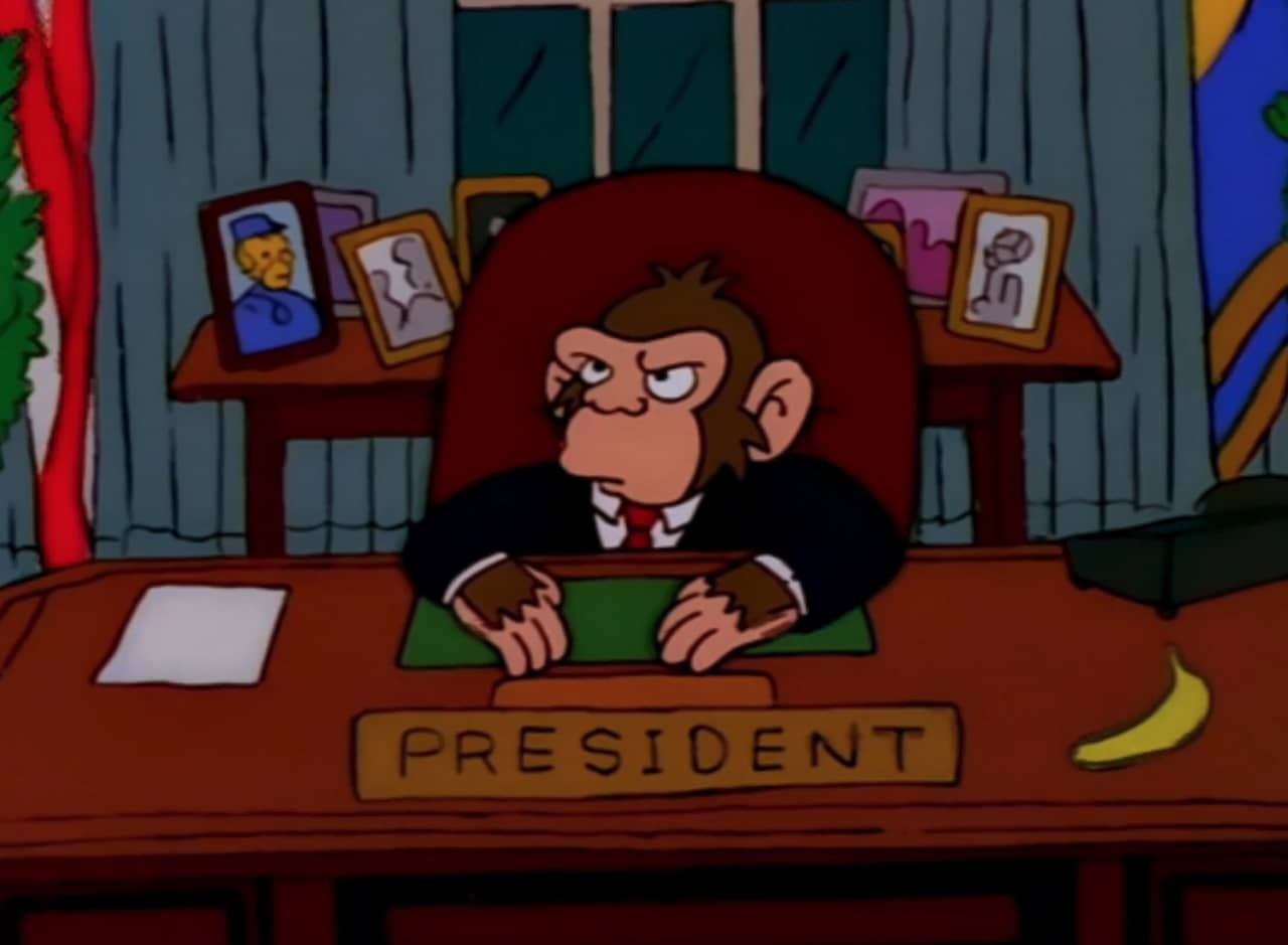 a chimpanzee is the President