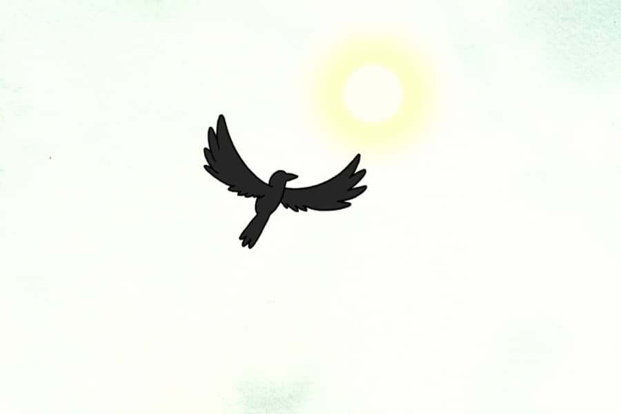 a raven flies with the sun behind in the sky