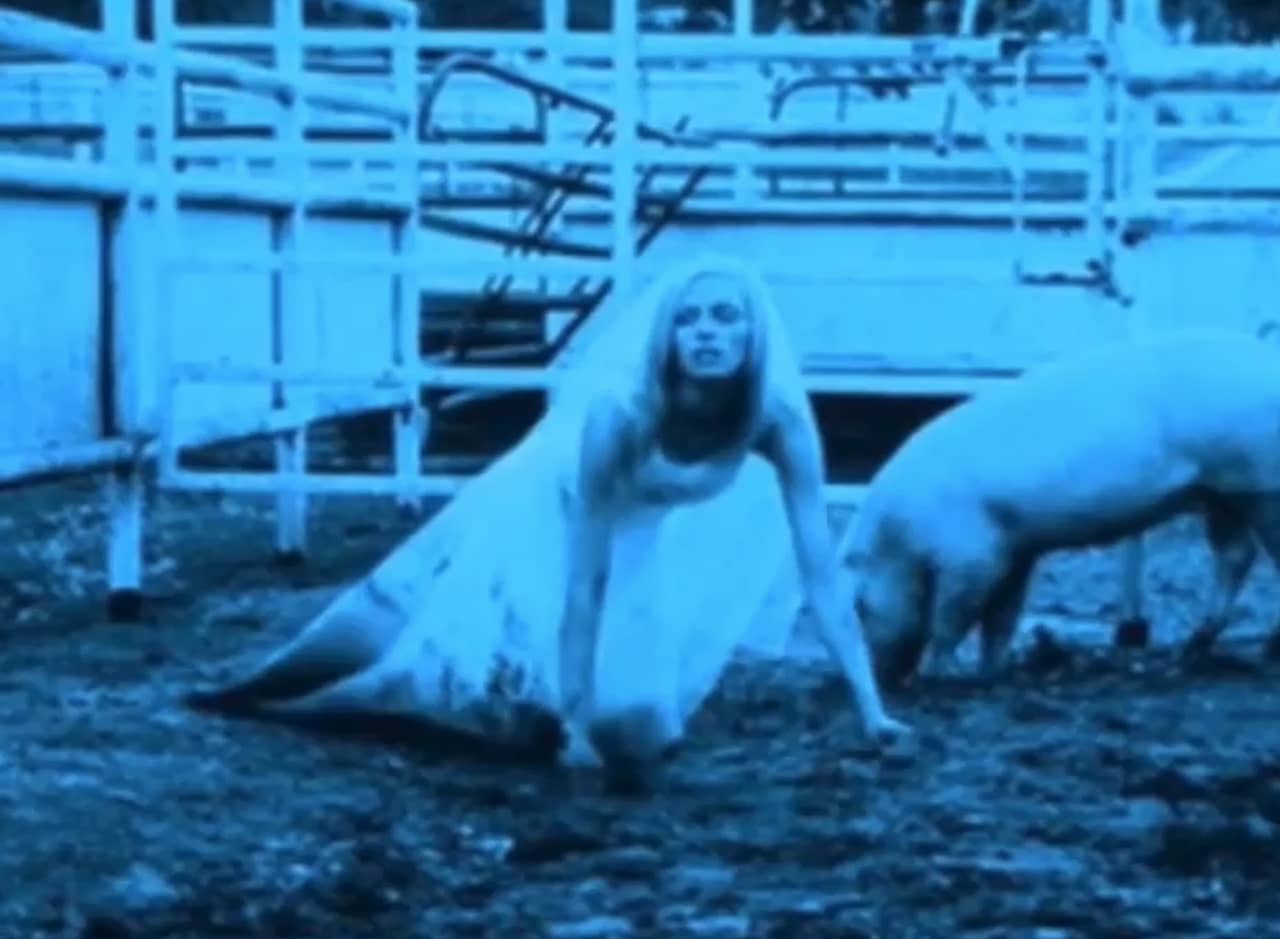 blue monochrome, Simone in a wedding dress in the mud of a pig sty