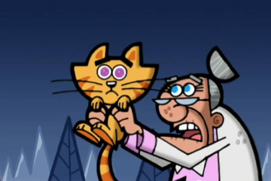 old woman holding up her cat