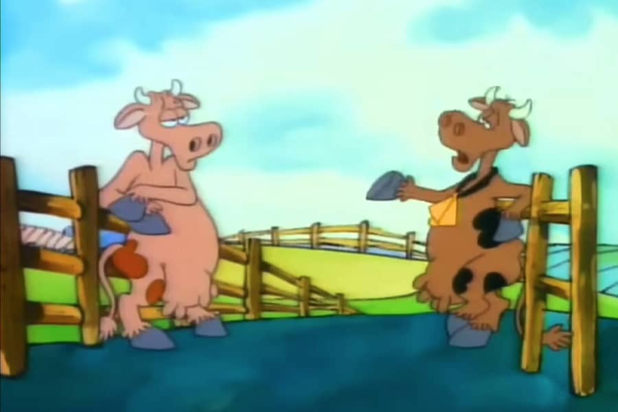 two cows chatting