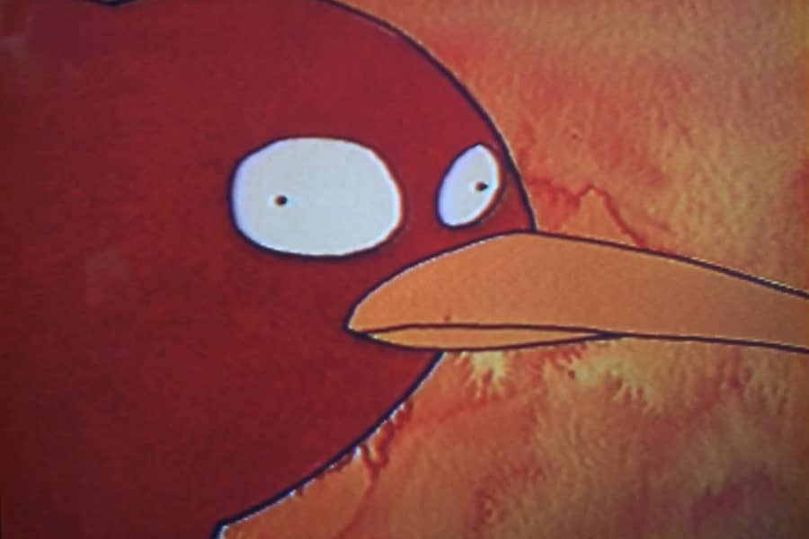 a round red bird with narrow beak