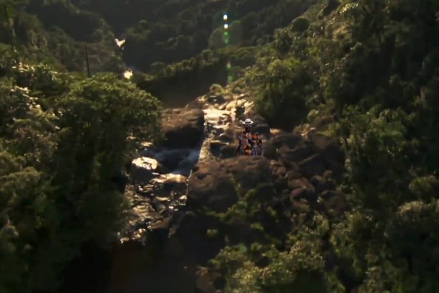 Tracy Jordan superimposed over a jungle background