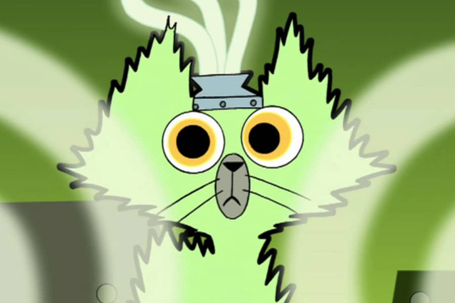 kitty being electrified