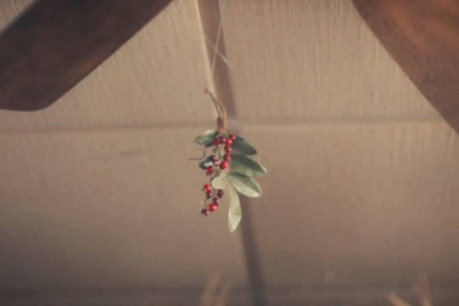 mistletoe hanging from the ceiling