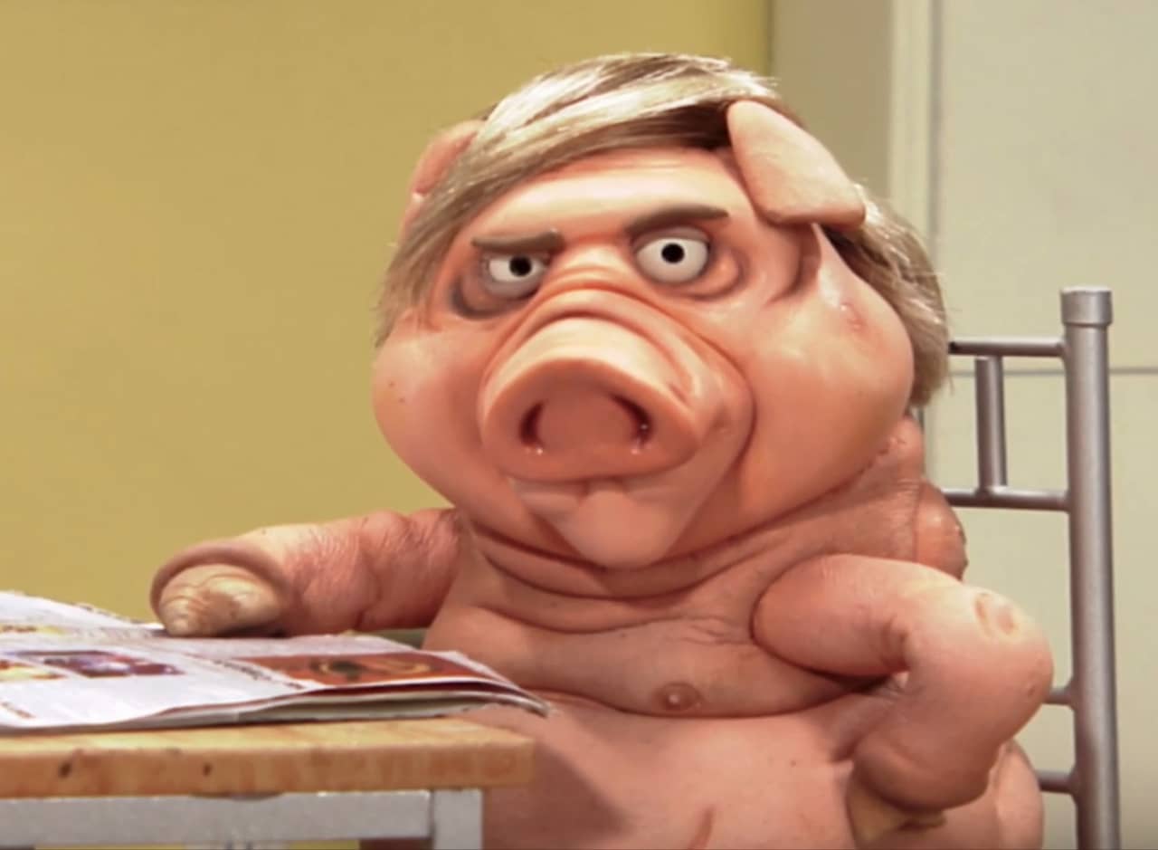 Jake the pig wearing a blonde wig and reading the newspaper