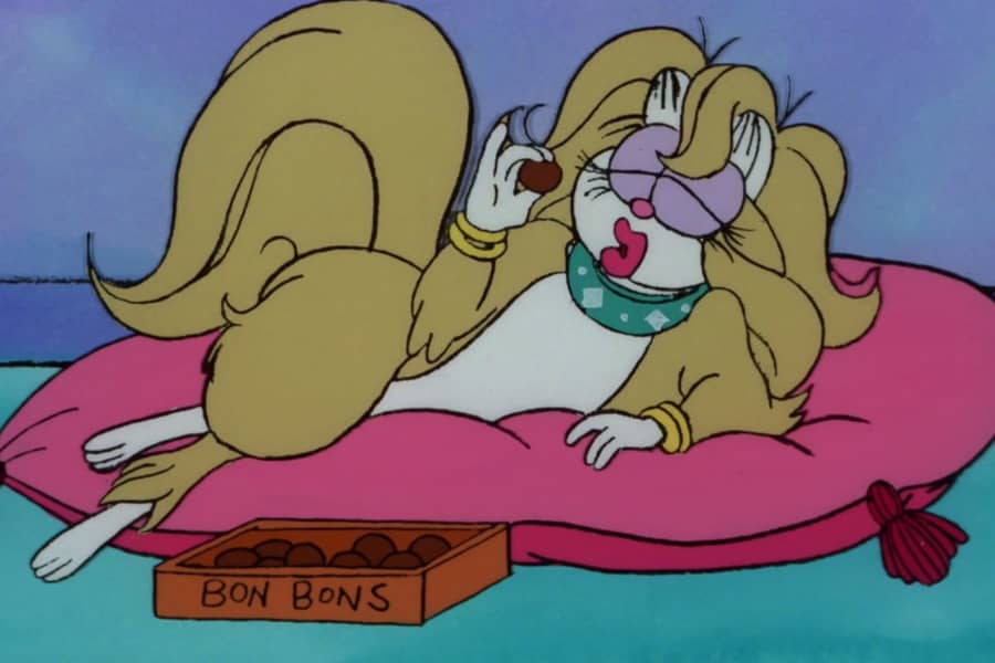 cat eating bon bons on a pillow