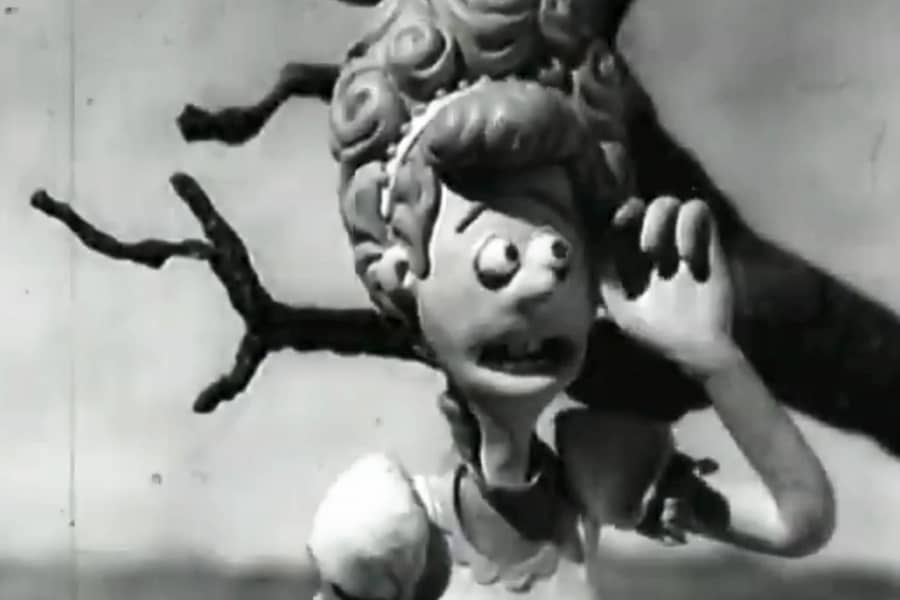 the woman on the branch