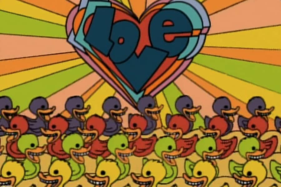 rows of ducks