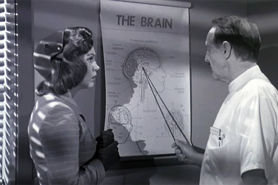 a doctor shows a woman a diagram of the brain
