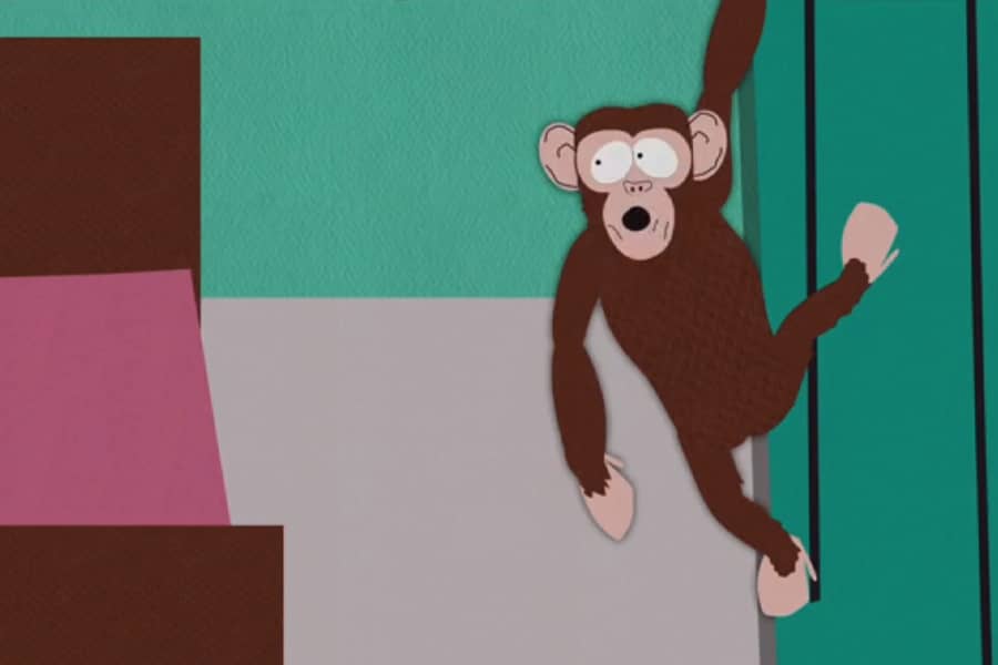 monkey hanging on the curtain