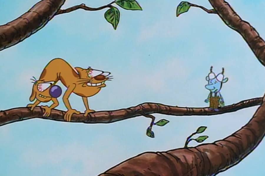 CatDog with big chameleon eyes, stalking prey on a branch