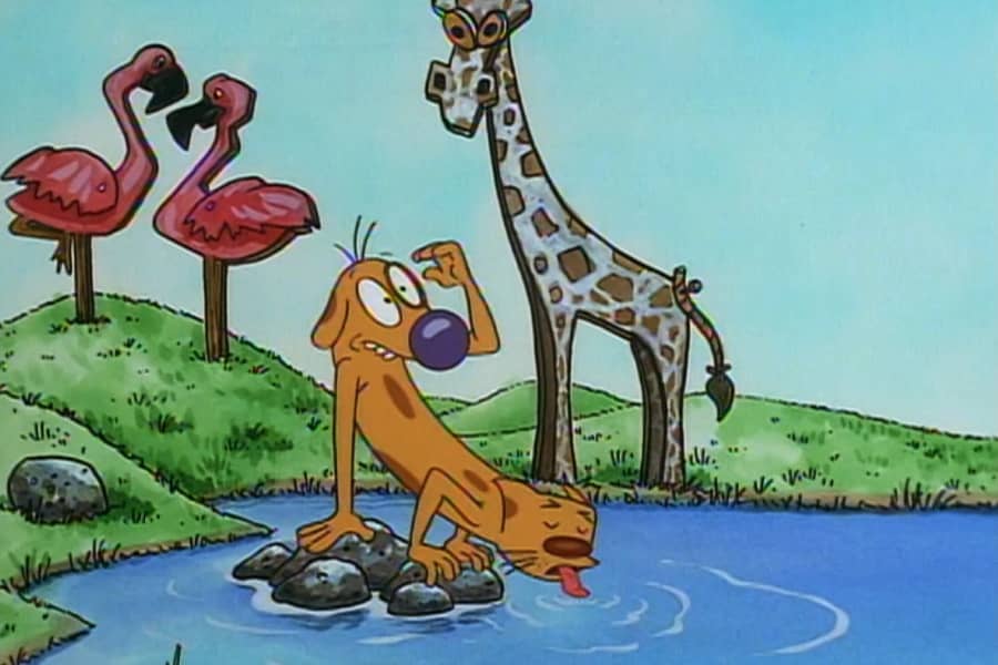 CatDog drinking from a watering hole with cardboard flamingos and giraffe nearby