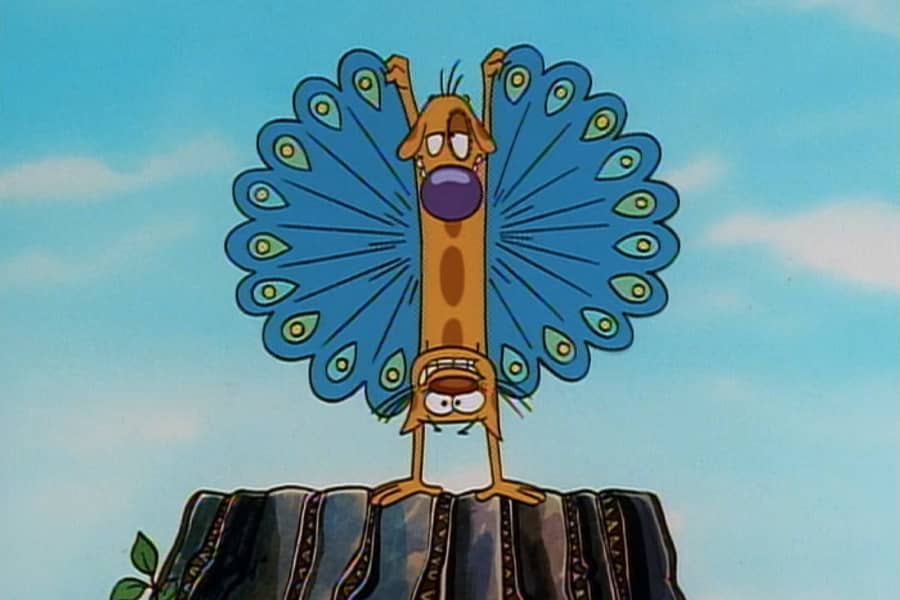 CatDog displaying peacock feathers