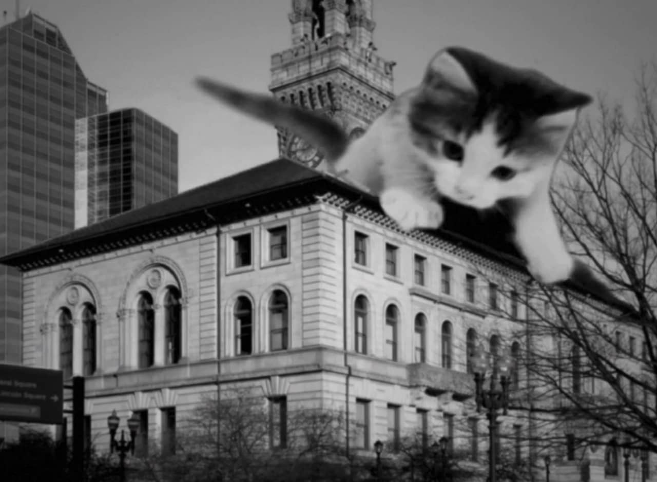 black and white shot of a giant kitten crawling on the roof of a building