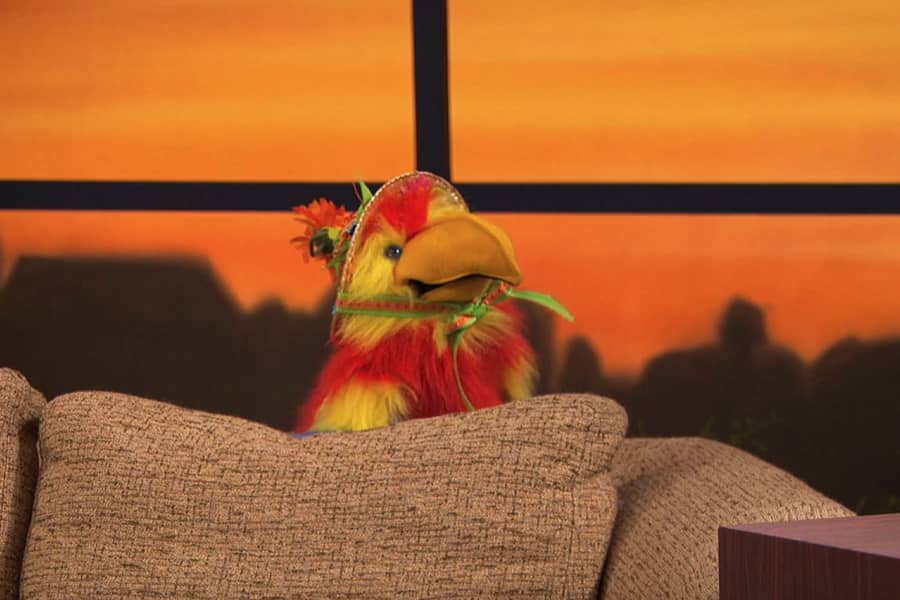 a fake parrot wearing a hat